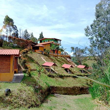 Vista Hermosa Eco Hostal Carmen de Viboral エクステリア 写真