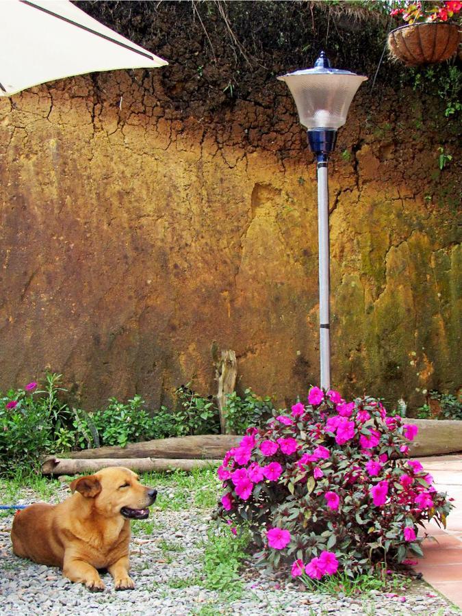 Vista Hermosa Eco Hostal Carmen de Viboral エクステリア 写真