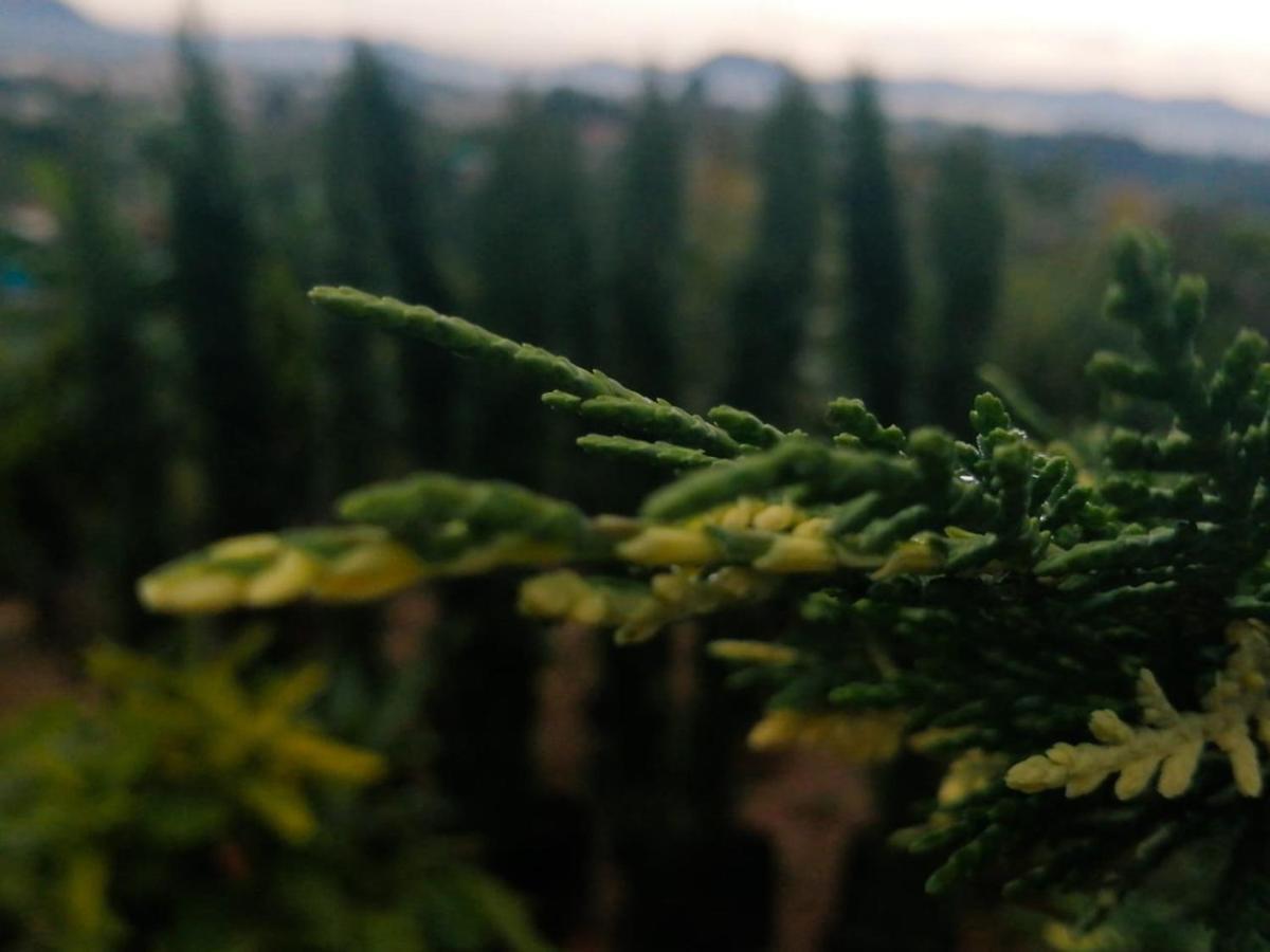 Vista Hermosa Eco Hostal Carmen de Viboral エクステリア 写真