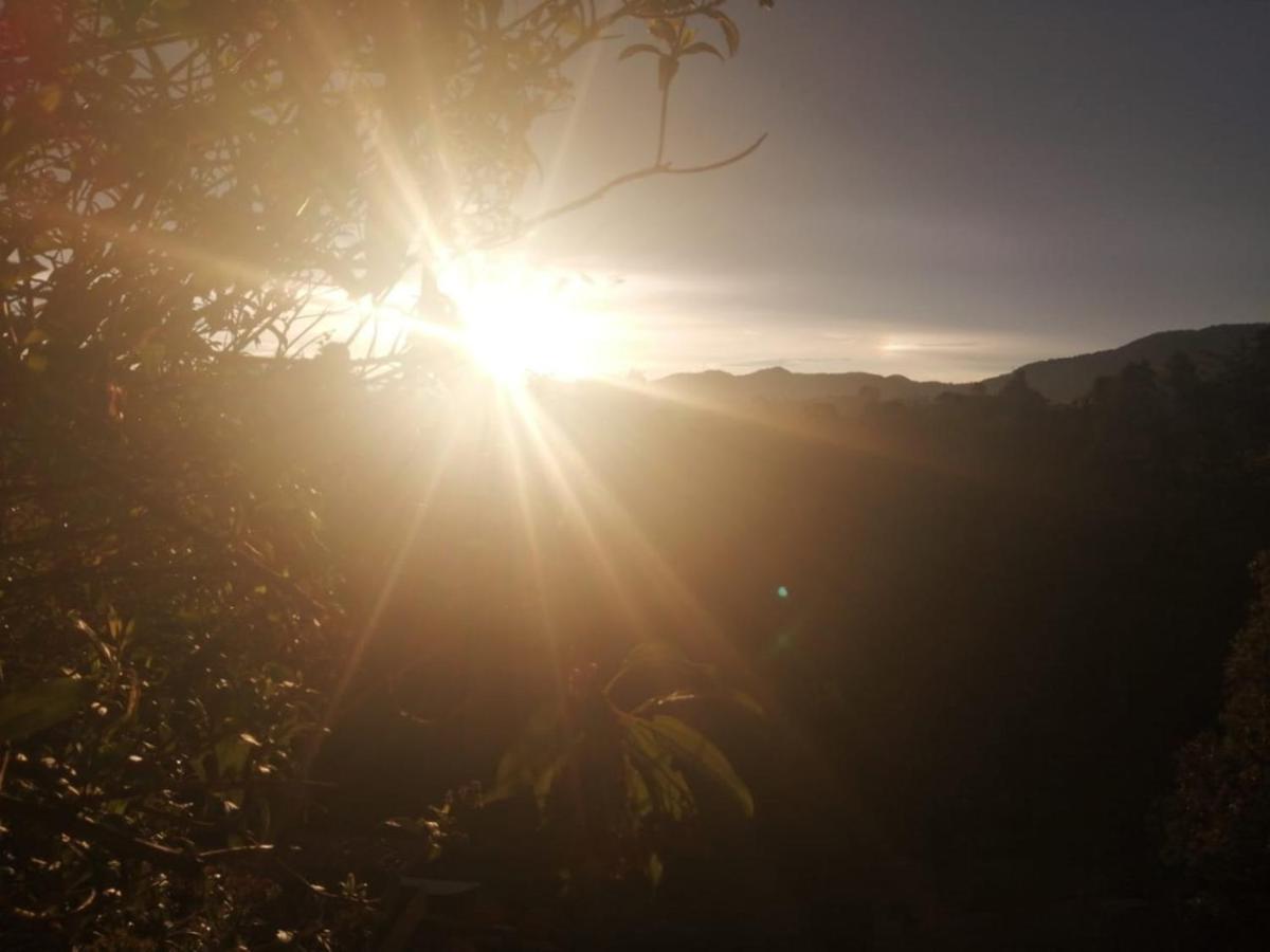 Vista Hermosa Eco Hostal Carmen de Viboral エクステリア 写真