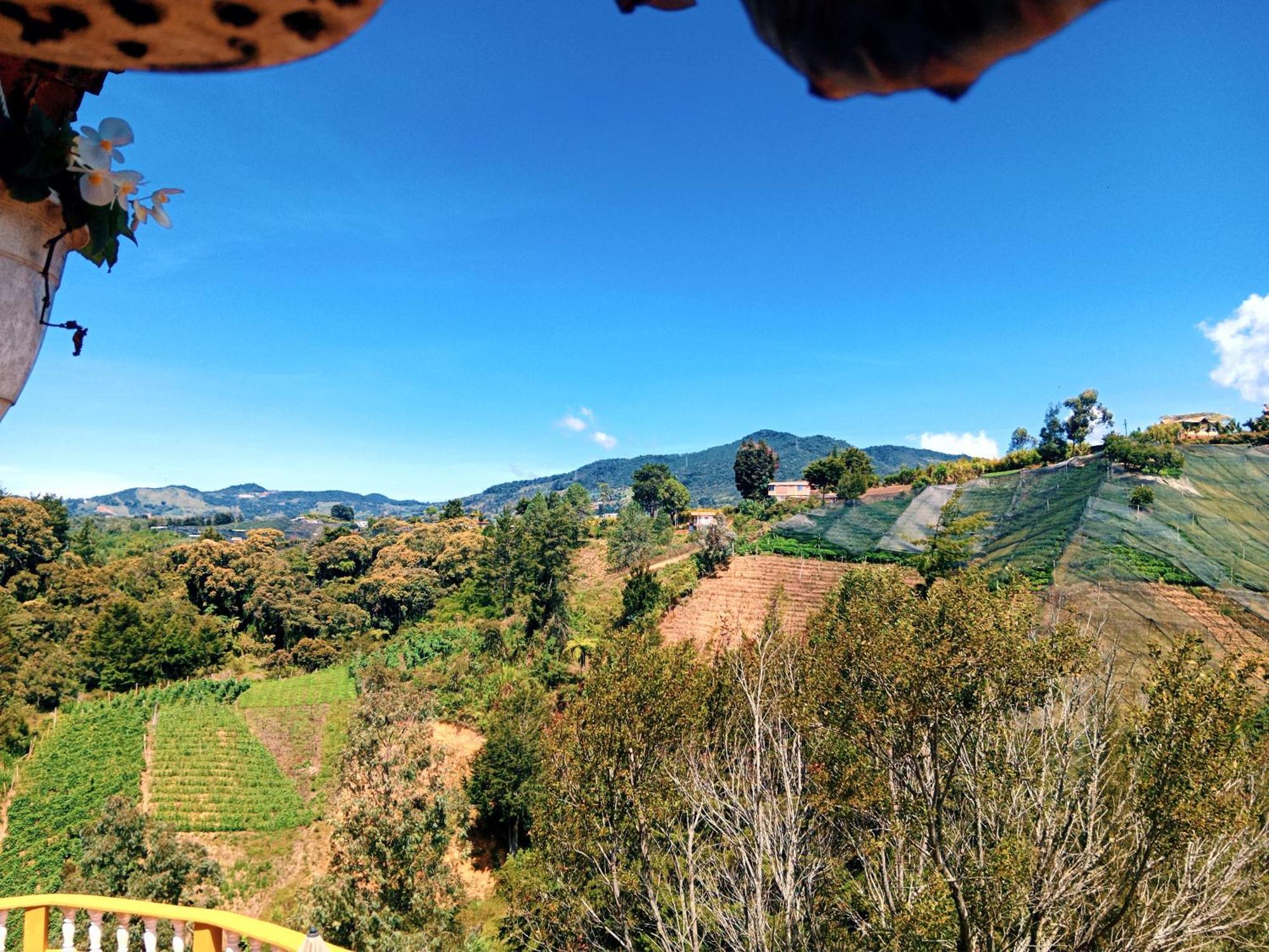 Vista Hermosa Eco Hostal Carmen de Viboral エクステリア 写真