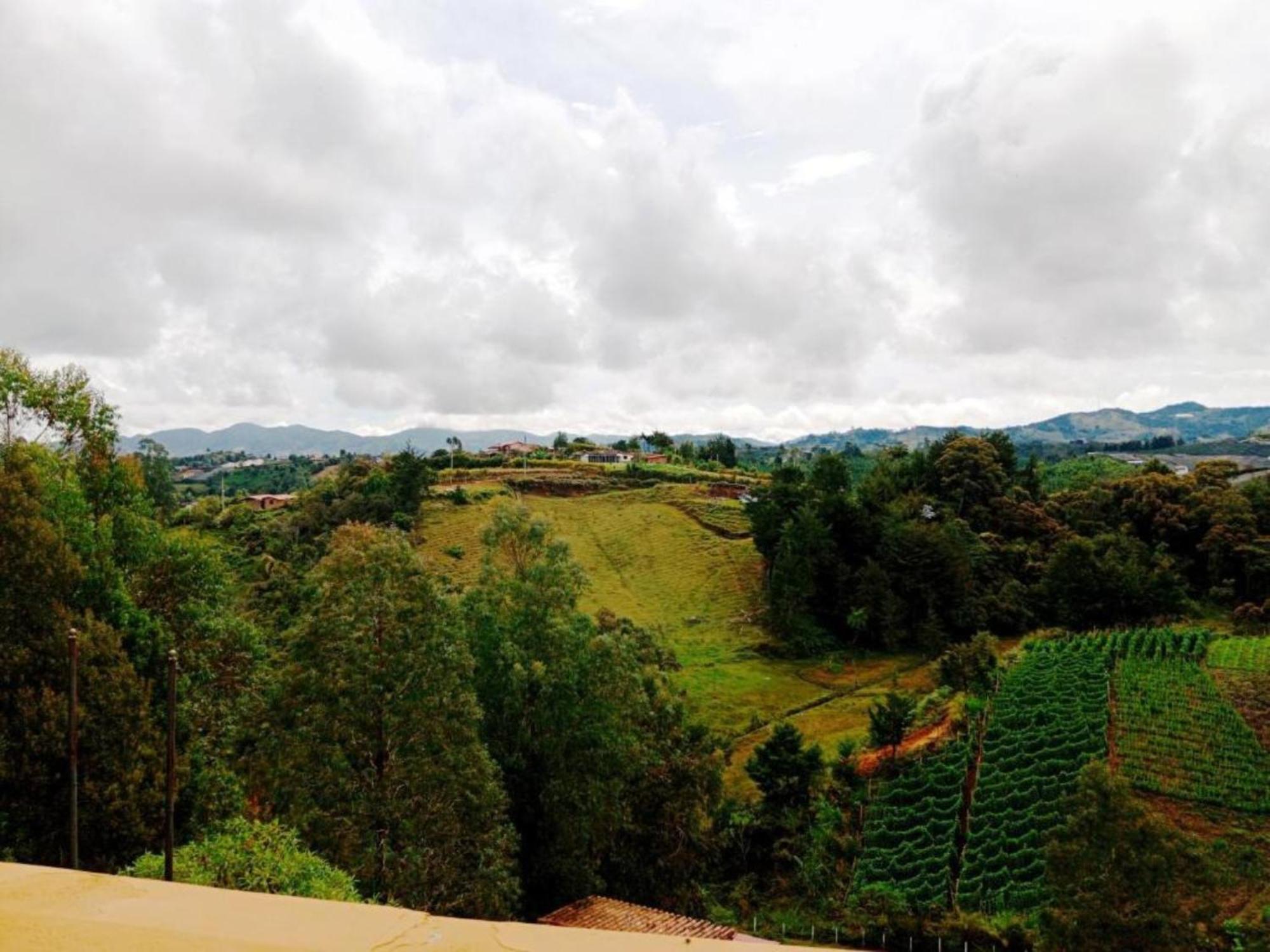 Vista Hermosa Eco Hostal Carmen de Viboral 部屋 写真